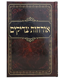 ������ ������ ����� ��� - ���