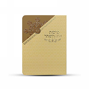 ����� ���� ���� �����