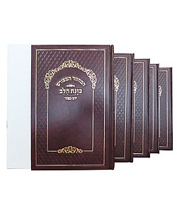 �� ������� ���� ����� ��� ���� ����� ����� ���� - ����� ����� ������