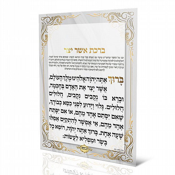 ���� ��� ���