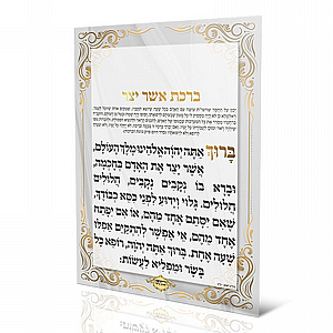 ���� ��� ���