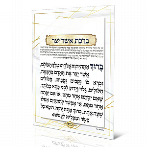 ���� ��� ��� ��� �������