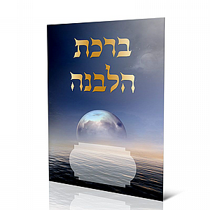 ���� ����� ���� �����