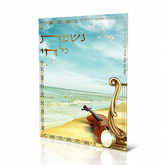 ����� ���� �� �� - ��� ��� ��