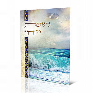 ����� ���� �� ��