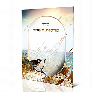 ��� ����� ���� ��� ���