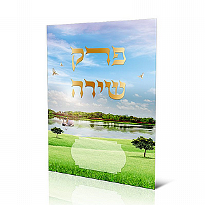 ��� ����