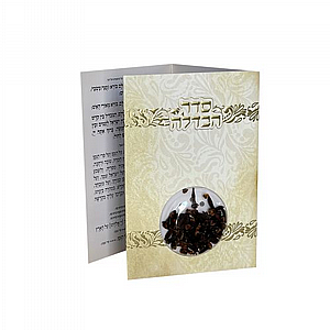 ����� �����