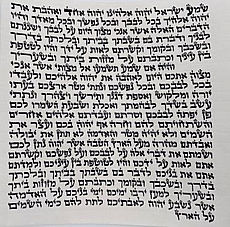 ����� ������ ��� ���� ���� �����