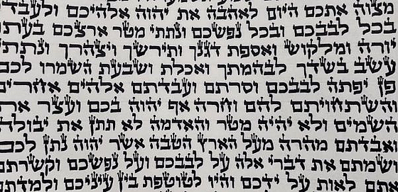 ����� ������ ��� ���� ���� �����