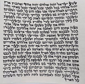 ��� ����� ����� ����� �.�. - ����