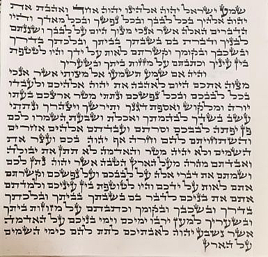 ��� ����� ����� ����� �.�. ����