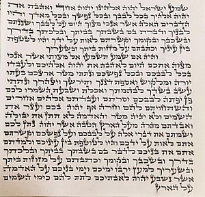 ��� ����� ����� ����� �.�. ����