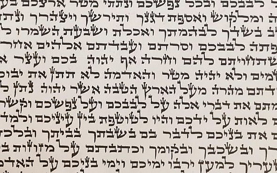 ��� ����� ����� ����� �.�. ����