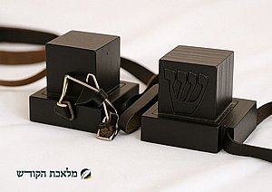 ������ ������� ���� ���