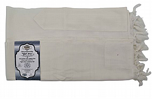 ���� ��� ����� ��� ����