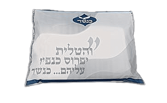 ���� �����