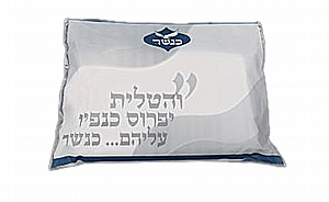 ���� �����