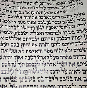 ����� ������ �.� ���� ����� ��� �����