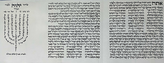 ����� ������ ����� �� ���