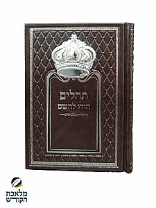 ����� ���� ���� ���