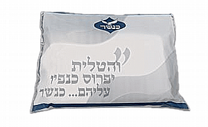 ���� �����