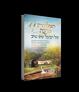 ������ ���� �� ���� �� ���