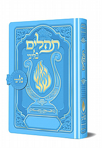 ������ ���� ��� ��� ����� ��� - ����� ����� ������