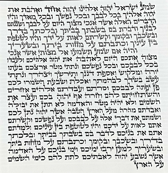 ����� ��� ����� ����� ���� 15 �"� �� ����� ����