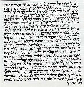 ����� ��� ����� ����� ���� 15 �"� �� ����� ����