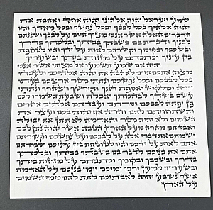 ��� ����� ���� ��� �"� �� ����� ���