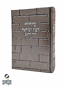 ����� ��� ����� ���� ���� ��� ���� ����