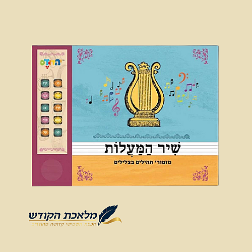 ��� ���� ������ - ��� ������