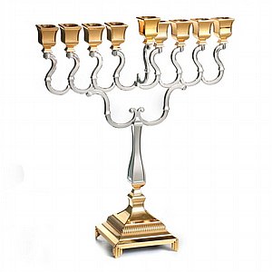 ������ ����� ����� ���/��� ������� (����) ���� 48 ��