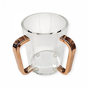 ���� ����� �� ���� �������