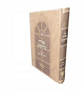 ��� ���� ������ �� ������ ���� ������