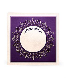 ����� ���� ���� ���