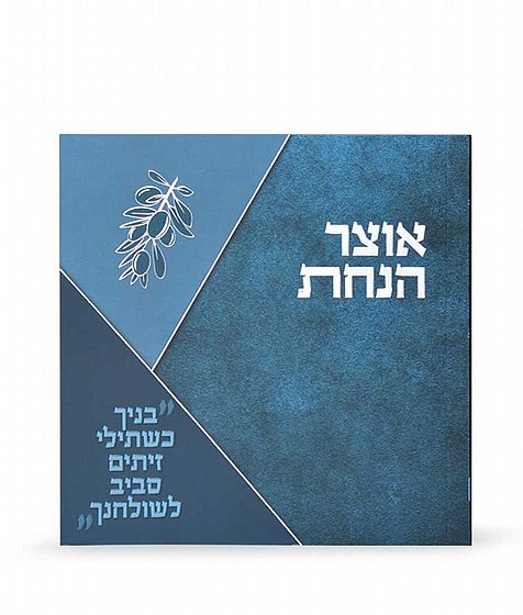 ���� ����