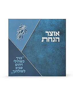 ���� ����