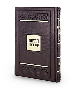 ������ ��� �����