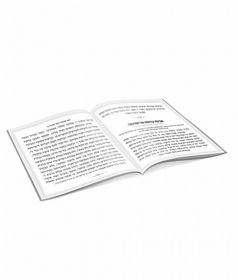 ���� ������