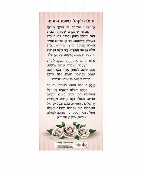 ����� ���� ���� �����