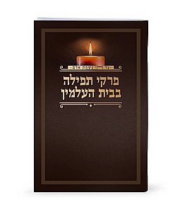 ���� ����� ���� ������