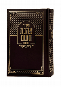 ����� ���� ��� ���� ���