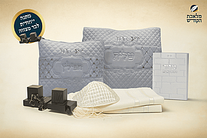 �� ���� �� ����� ������ ���� ����� ����� ����� ��� 251