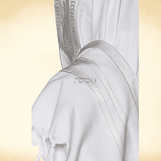 �� ���� �� ����� ������ ���� ����� ����� ����� ��� 251