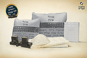  �� ���� �� ����� ������ ���� ����� ����� ����� ��� 259