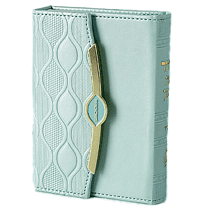 ����� ������ ���� ��� ��� �����