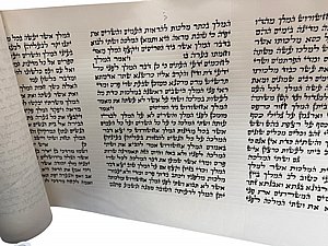 ����� ���� �� ��� "����" �� ����� ����