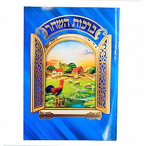 ����� ����� ���� ����� -���